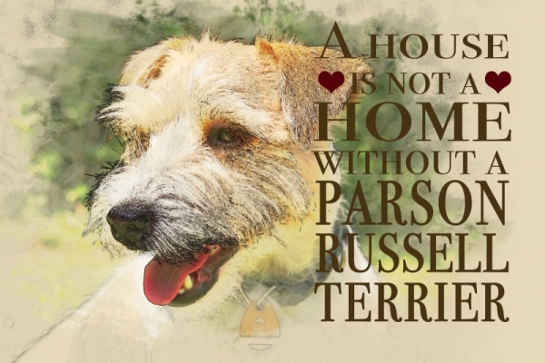 Nostalgieschild - Hundeschild im Retrostil Motiv: Parson Russell Terrier #2